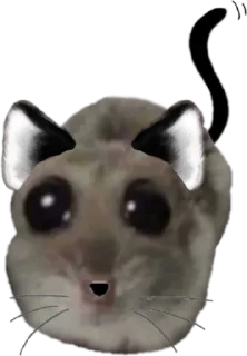 Стикер Mavka Hamster - 5