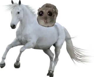 Стикер Mavka Hamster - 9