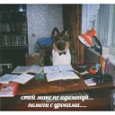 text indoor furniture