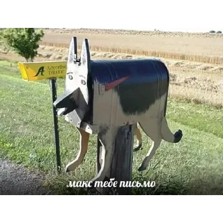 outdoor grass cattle