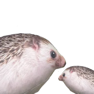 Sticker Мэкс @ArtistFH_ROW - 10