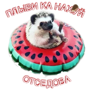 Sticker Мэкс @ArtistFH_ROW - 2