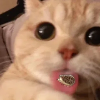 Sticker Мэкс @ArtistFH_ROW - 3