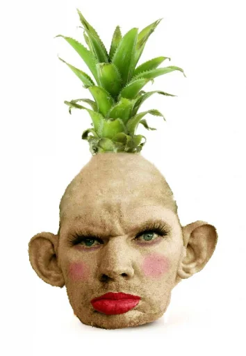 fruit human face pineapple