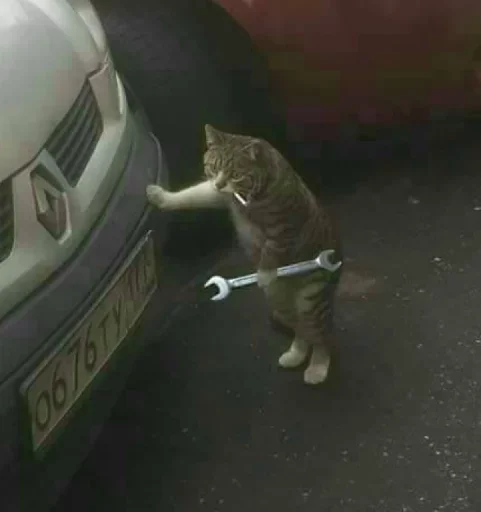 СМС автомобиль транспортное средство