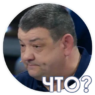 Sticker Мэр Горловки - 1