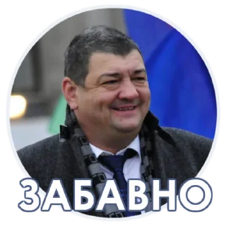 Sticker Мэр Горловки - 10