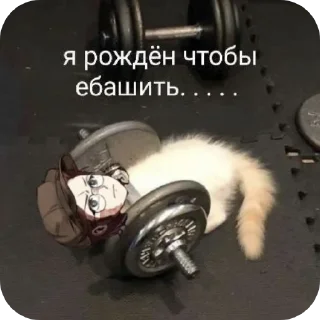 Стикер MazM (J&H, TPOTO, H&S) - 2