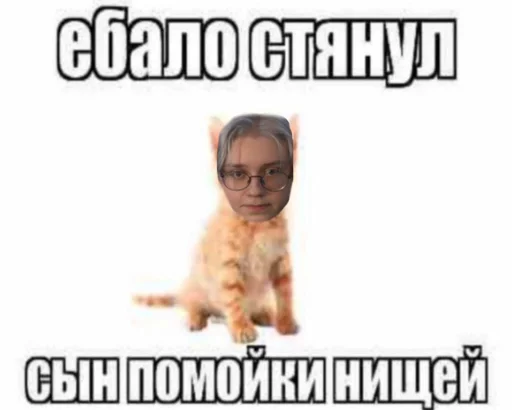 СМС животное собака