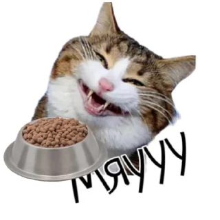 Стикер Md Troy - 10