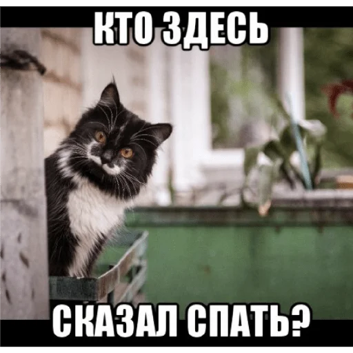 Sticker MeGeRa_ZOV - 1