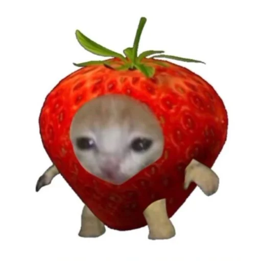 съедобные котики zetsu - 