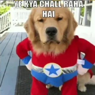 Стикер Mera pack - 10