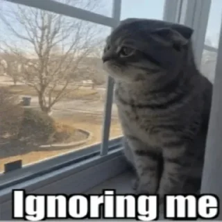 Стикер Mera pack - 6