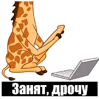 Sticker Medialife - 1