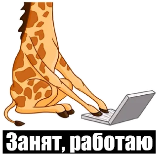 Sticker Medialife - 0