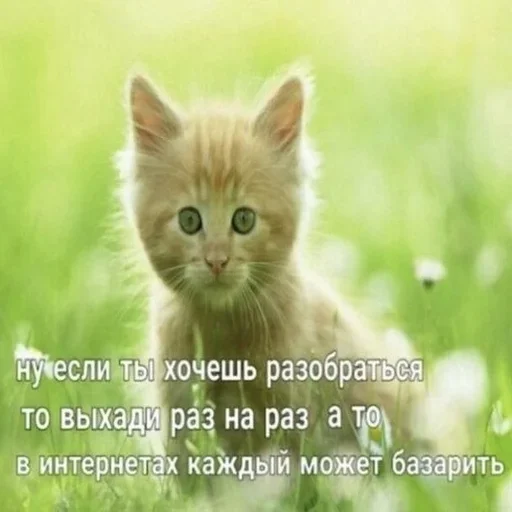 Sticker Катарсис @medullaoblongat - 7