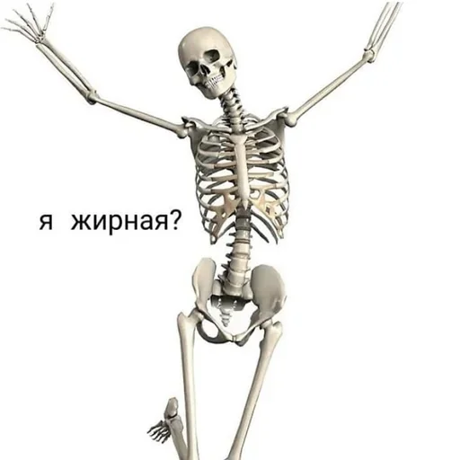 Sticker Катарсис @medullaoblongat - 4