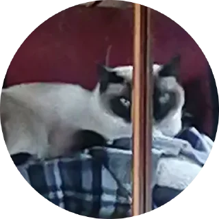 Стикер Medusa - 6