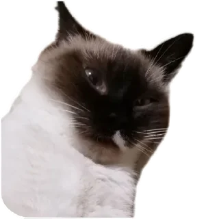 Стикер Medusa - 9