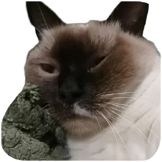 Стикер Medusa - 3