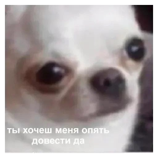 Sticker Медведь - 6