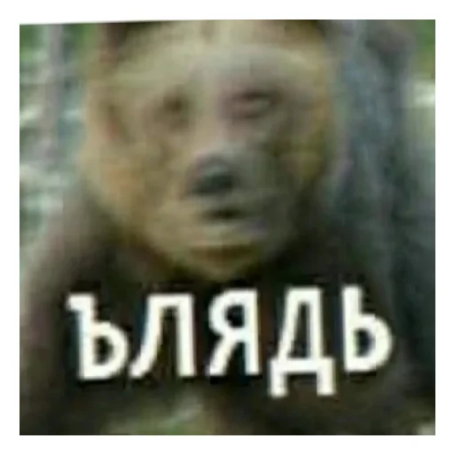 Sticker MedvedSoloVers4 - 1