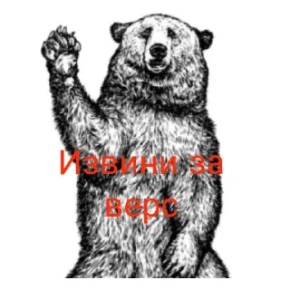 Sticker Медведь соло верс - 6