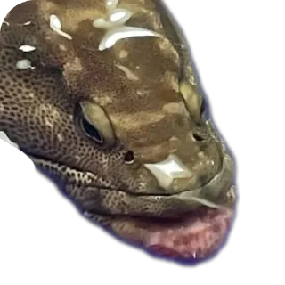 Стикер Meene pack - 11