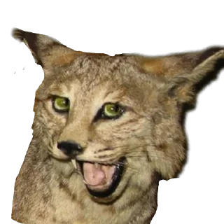 Стикер Meene pack - 8