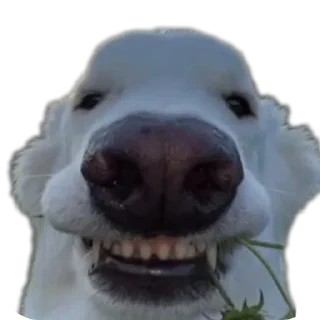 Стикер Meene pack - 6