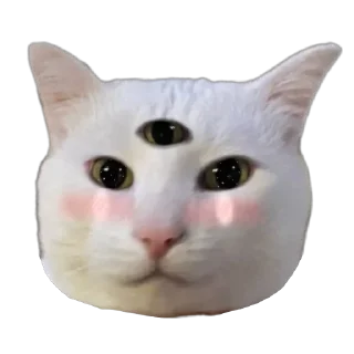 Стикер Meene pack - 5