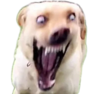 Стикер Meene pack - 3