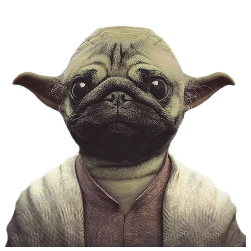 Стикер Meet The Pugs ( @Perkovec ) - 10