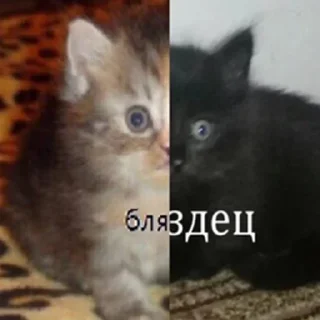 Sticker харошая работа алек - 3