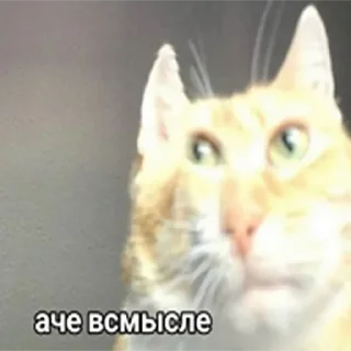 Sticker харошая работа алек - 1