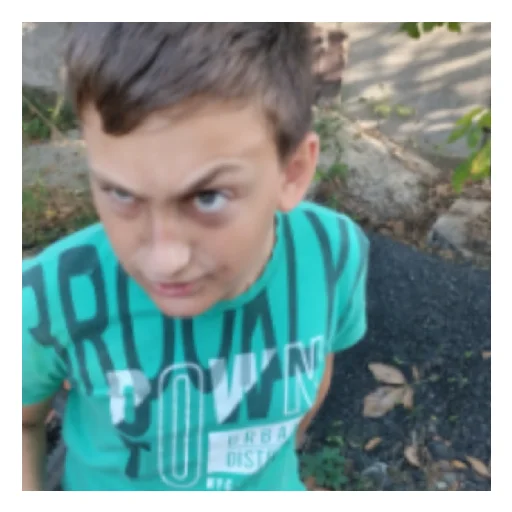 Стикер MegaGribyV2 - 1