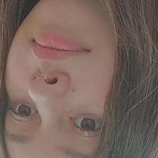 Мега грибы v3 - 