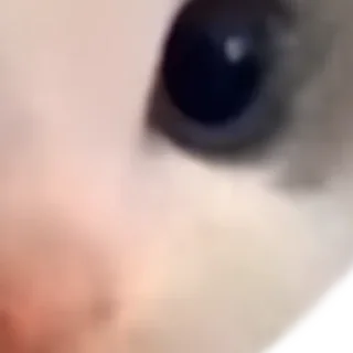 Sticker Мега Вилли - 0