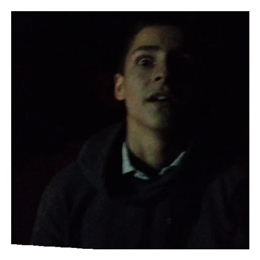 Стикер Mega_griby - 1