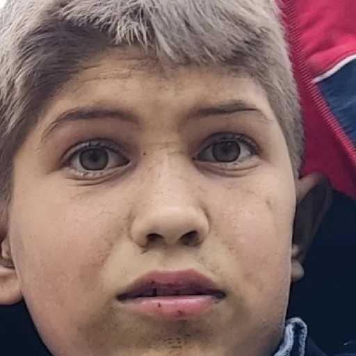 Sticker Мега грибы - 10