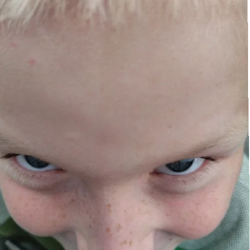 Sticker Мега грибы - 8