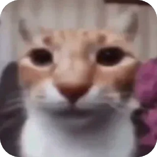 Sticker Мегафон - 2