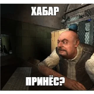 Стикер Сталкер - 7