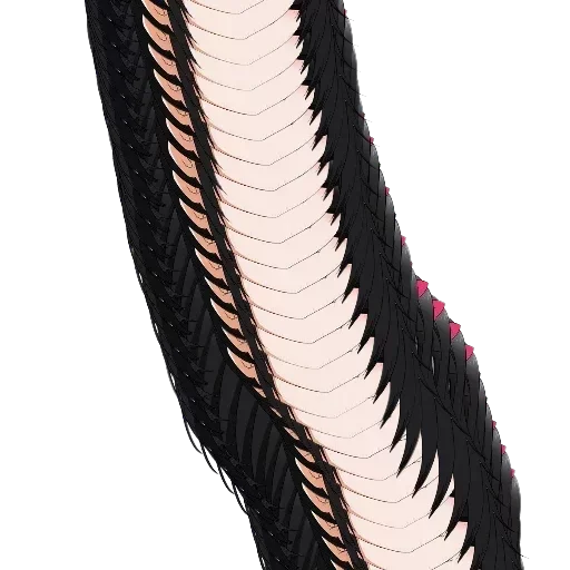 Стикер Имперский язык by @fStikBot - 4