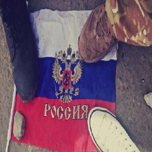 СМС земля сумка