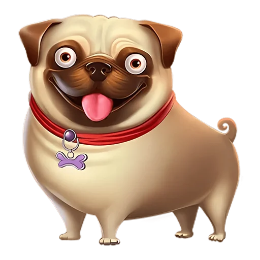 рыло порода собак домашнее животное