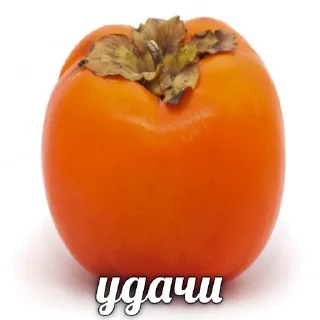 Sticker Лучшие стикеры—@lovesticers - 3