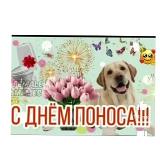 Стикер Мем228 - 0