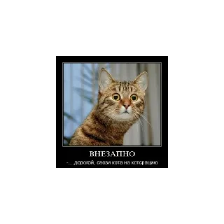 Стикер Mem - 9